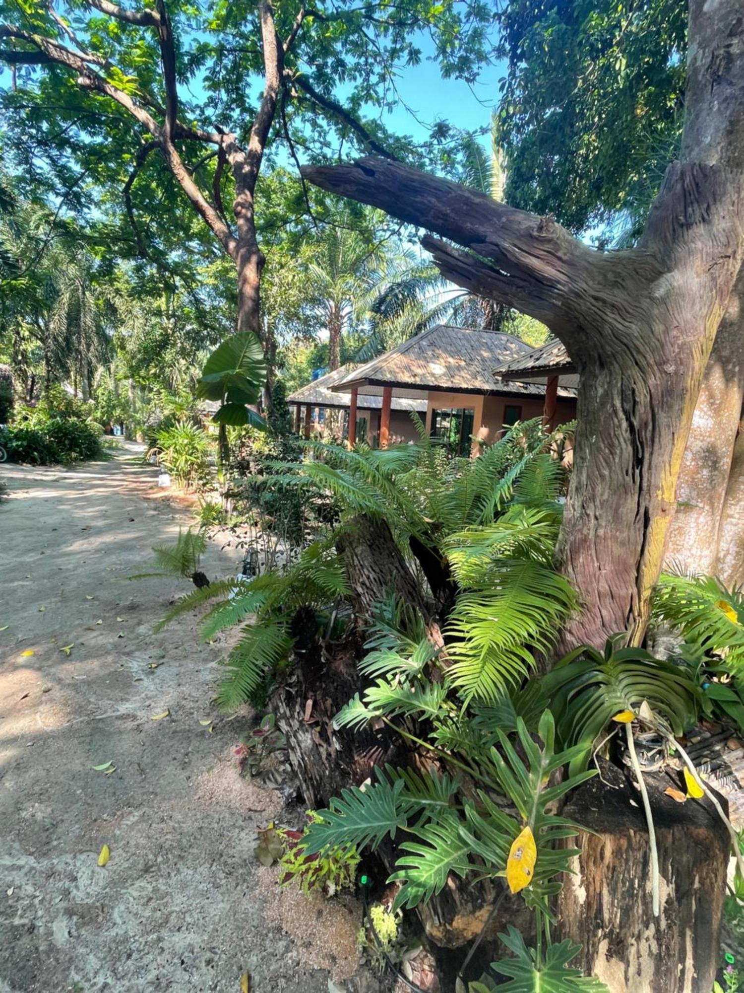 Sunny Cove Beach Resort Koh Phayam Ranong Luaran gambar