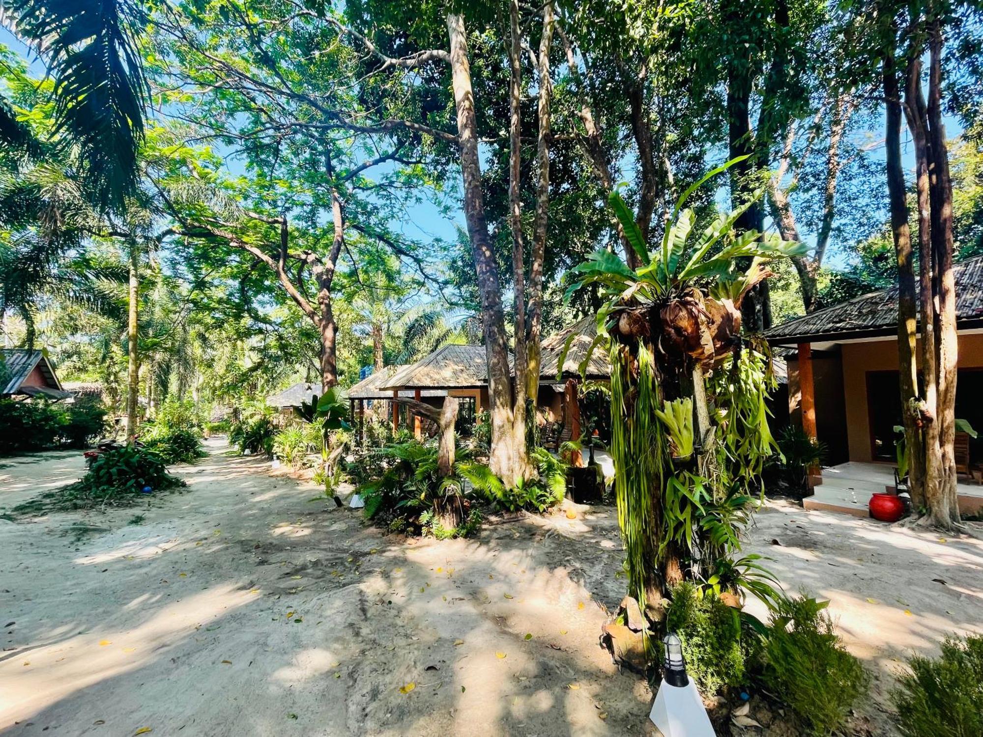 Sunny Cove Beach Resort Koh Phayam Ranong Luaran gambar